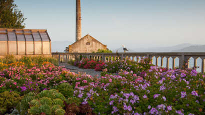 Alcatraz Garden